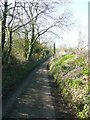 Lane near Hooks Green, Clothall in Clothall
