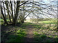 Bridleway north-westwards from Clothall in Clothall