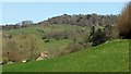 Loscombe: farm and valley in DT6 3TL
