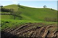 Round Knoll and Mangerton Hill in DT6 3SW