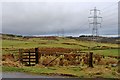 Pasture and pylons at West Glen in PA13 4PU