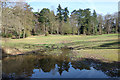 Pond in Lily Hill Park in RG12 2QB