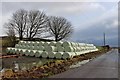 Bales at High Mathernock in PA13 4SP