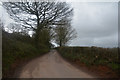 Mid Devon : Country Lane in EX17 4BH