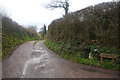 Mid Devon : Farm Track in EX17 4BH