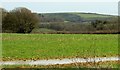Countryside near Mappercombe in DT6 4PF