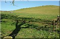 Hillside west of Mappercombe in DT6 3SN