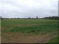 Crop field off Shenley Lane (B5378) in AL2 1DW