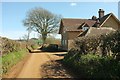 Lane past Mappercombe Farm in DT6 3SZ