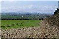 View over cereals to Nabhill  in TD15 2TA