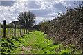 Church Meadow nature reserve in IP14 2PB