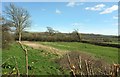 Field, Mappercombe in DT6 3SS