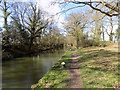 Crookham:  Basingstoke Canal, looking west from Chequers Bridge in GU51 5SU