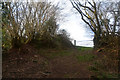 Mid Devon : Footpath in EX17 4AQ