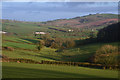 Mid Devon : Countryside Scenery in EX17 4AQ