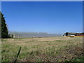Polytunnels off Smeeth Road in PE14 8JE