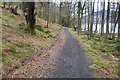 Track beside Loch Venachar in FK17 8HG