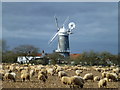 Bircham Windmill, Great Bircham, Norfolk in PE31 6SJ