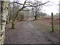 Track crosses footpath on Red House Common in BN8 4ET