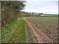 Bridleway looking west, Offley in LU2 8LS