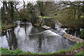 Weir on the River Arrow in B98 8HG