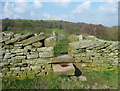 Stile on Holmfirth FP58/4 at Back Lane, Upperthong in HD7 2ZR