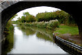 The Ashby Canal south-east of Congerstone, Leicestershire in CV13 0BL