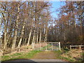 Gate on forestry track near Cantraybruich in IV2 5EG