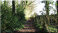 Footpath past the lake at Hethersett Hall in NR9 3DA