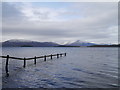 Loch Lomond From Shore Wood in G83 8NJ