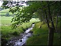 Stream running alongside the Severn Way in SY18 6PJ