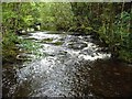 Looking upstream from the footbridge over the Severn in SY18 6PJ