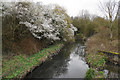 The River Arrow at Redditch in B98 7EU