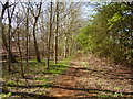 Colne Valley Trail near Thorney in UB7 7HQ