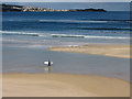 Surfer at Hayle Towans in TR27 4DD