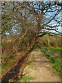 Path to Broadmere Common in BN5 9DY