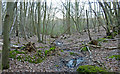 Stream in Poor's Piece, Little Baddow in CM3 4SL