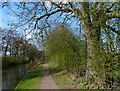 Market Harborough Branch of the Grand Union Canal in LE16 7HA
