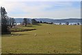 Pasture at Portkil Farm in G84 0JH