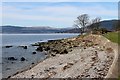 Shingle shore and sea wall at Kilcreggan in G84 0HW