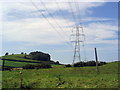 Power pylons near Loders in DT6 4PF