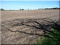Stubble field with a tree shadow, off Syerscote Lane in B79 9EU