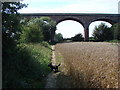 Footpath under the Railway Viaduct. in WF9 1AY