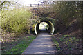 Tunnel under Colclough Lane in ST6 6XP