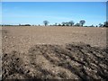 Shadows on a ploughed field, near Podmore Cottages in B79 0AE