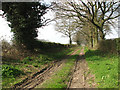 Track into fields by Common Farm in NR9 4BB