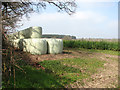 A stack of silage bales by Bungalow Farm in NR9 4BB