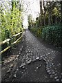 Cobbled path beside Ashley Mill in WA14 3BH