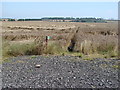 The start of the footpath through the corn fields to Badsworth, looking from the railway bridge. in WF9 1AP