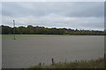 Field, edge of Meldreth in SG8 6NN